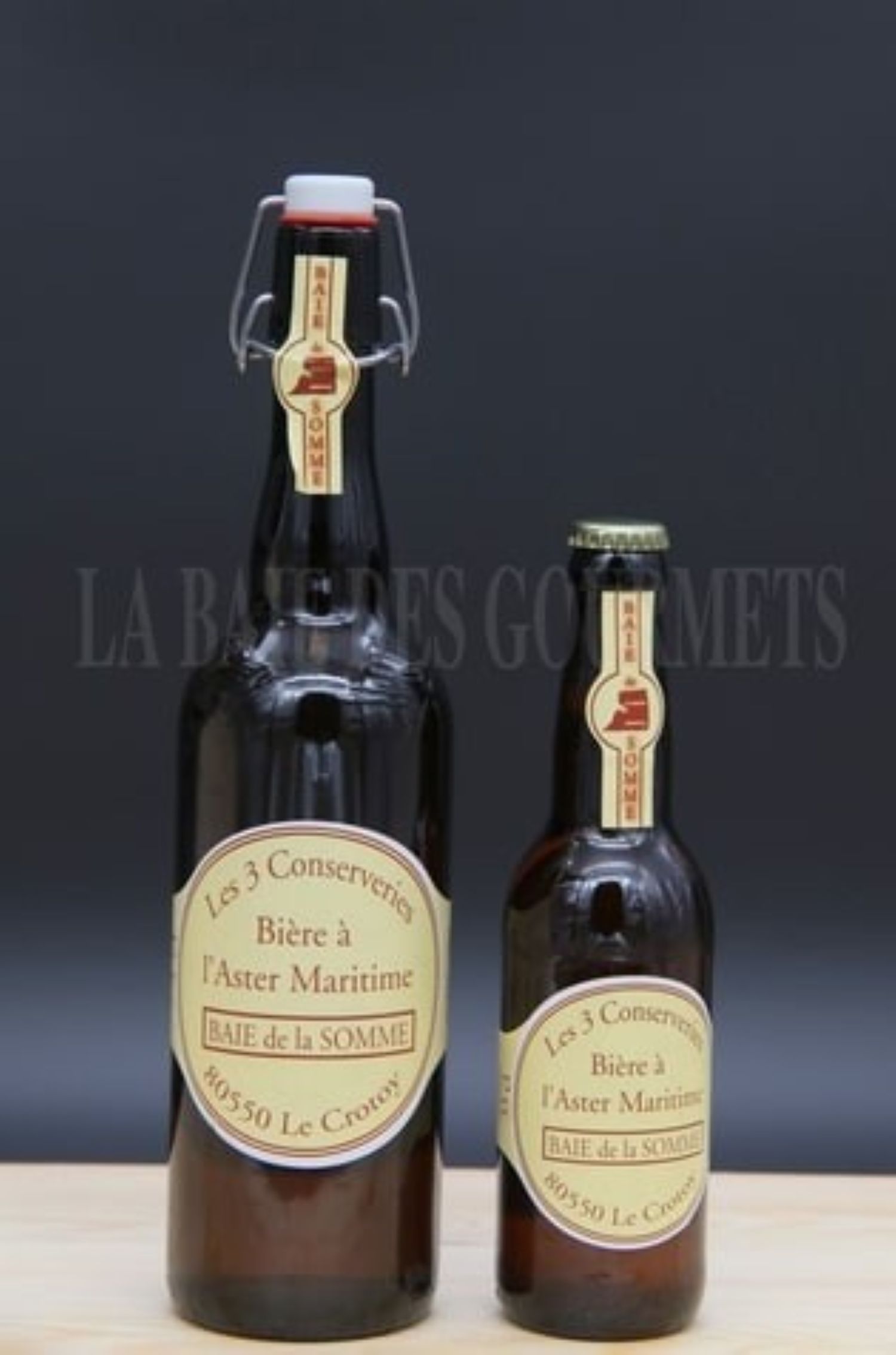 Bière à l'aster (oreilles de cochon) - La Baie des Gourmets