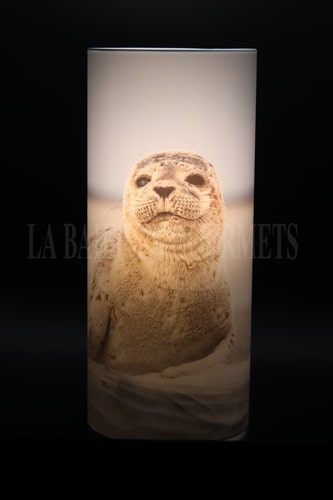 Lampe Phoque petit modèle - La Baie des Gourmets