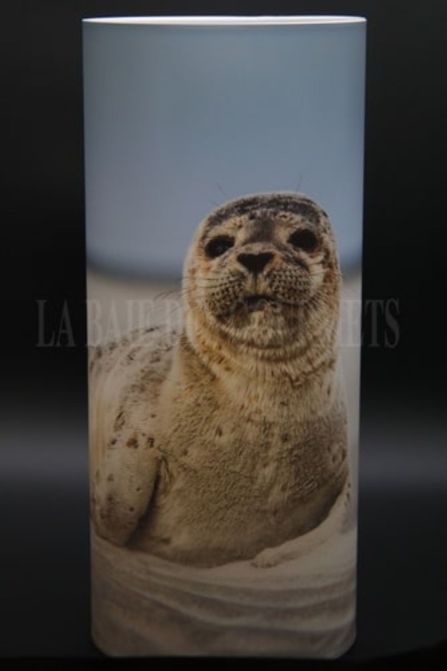 Lampe Baie petit modèle - La Baie des Gourmets